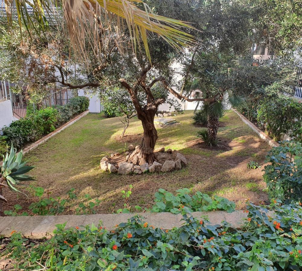 Apartamentos Mediterraneo 마르베야 외부 사진